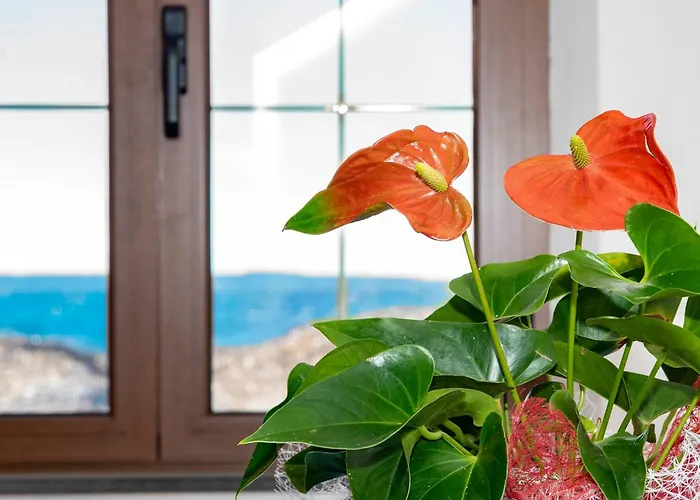 Casa Vanessa By The Sea Holiday home Putzu Idu